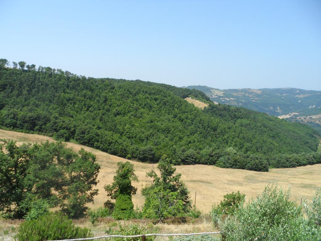 Valfabbrica Agriturismo La Terrazza מראה חיצוני תמונה