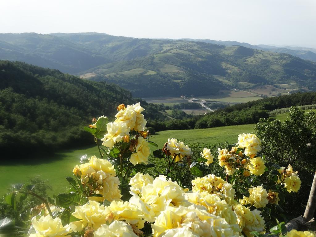 Valfabbrica Agriturismo La Terrazza מראה חיצוני תמונה